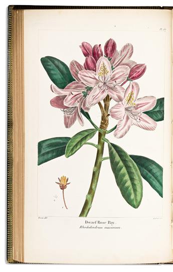 (BOTANICAL.) Francois Andre Michaux; and Thomas Nuttall. The North American Sylva;